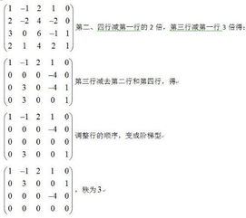 探秘矩阵的秩 解开线性代数核心概念的钥匙